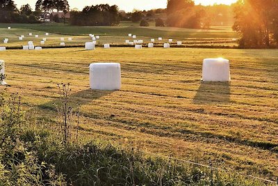 4 Personen Ferienhaus in TRELLEBORG-By Traum