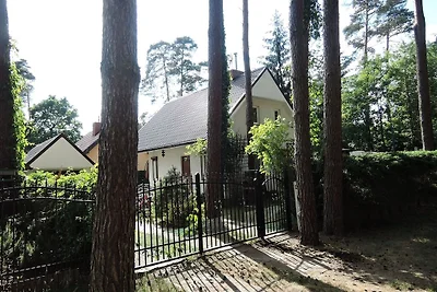 Ferienhaus mit Pool in Morzyczyn
