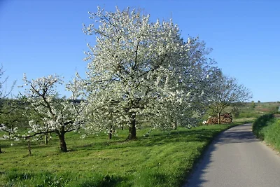 Azienda vinicola Jürgen Walz