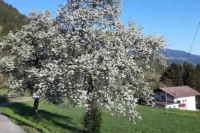 "Rehsprung" nella Casa Fernblick