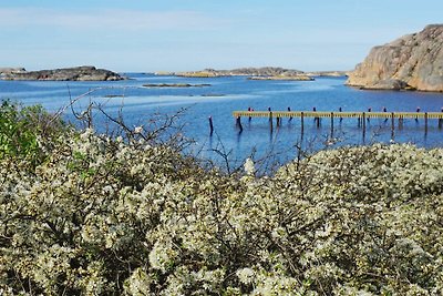 4 Sterne Ferienhaus in Hamburgsund