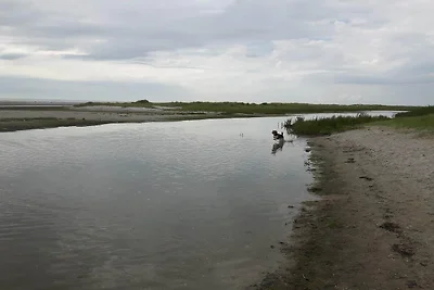 8 Personen Ferienhaus in Storvorde-By Traum