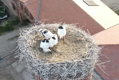 apartman za odmor Obiteljski odmor Großharthau