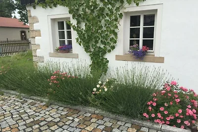Ferienhaus Schwarzer Kater