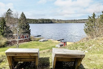 4 Sterne Ferienhaus in HOLSLJUNGA