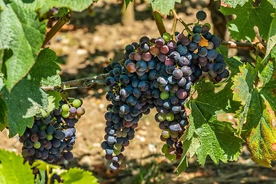 Haus mit atemberaubendem Blick auf den See