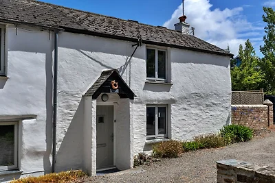 Ruim huisje in Newquay, Geen storting