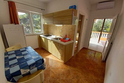 Apartments Vinko Mljet- One-Bedroom Apartment...