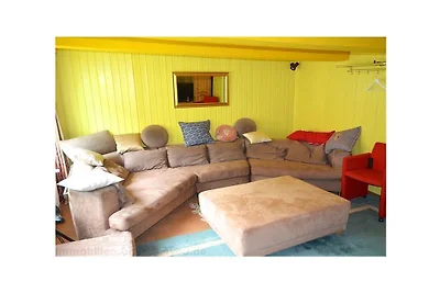 Groot chalet aan de bergbeek