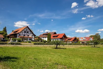 Vakantieappartement met 1 slaapkamer