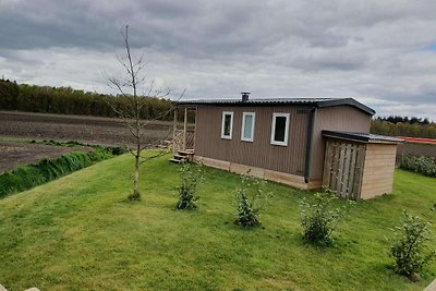 Ruhiges Chalet in Schoonloo mit Terrasse