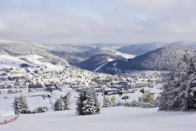 Olsberg Appartement dichtbij Skipistes