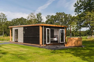 Chalet mit Sauna auf dem Sallandse Heuvelrug