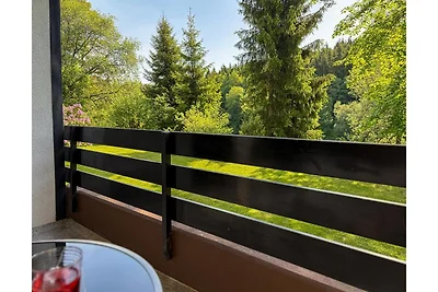 Ferienwohnung in Winterberg