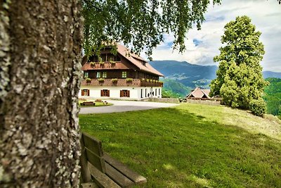 Casa vacanze Birkenhof ad Afritz/Verditz