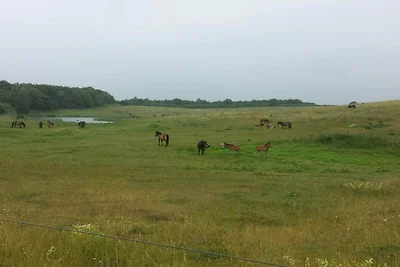 Luxus Strandhaus -- By Traum Ferienwohnungen