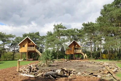 Chalet mit Geschirrspüler, nahe der Veluwe