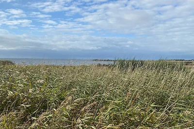 4 Personen Ferienhaus in Skjern-By Traum