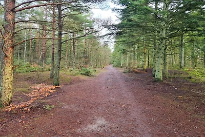 6 persoons vakantie huis in Ålbæk