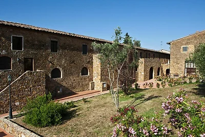Wohnung in Campiglia Marittima
