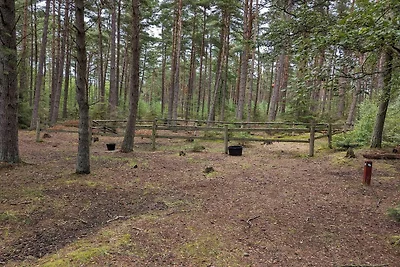 6 Personen Ferienhaus in Hadsund-By Traum