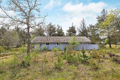 6 Personen Ferienhaus in Ålbæk