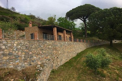Schönes Bauernhaus in Cetraro mit Terrasse