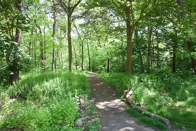 Omgeving (zomer) (1-5 km) Omgeving (zomer) (1-5 km)