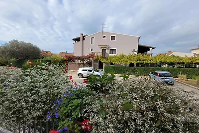 Apartmetns Villa Dina 2