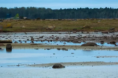 4 persoons vakantie huis in Læsø-By Traum