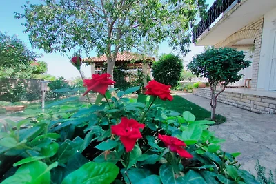 Apartments Snježana Carev - Studio Apartment ...