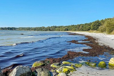 4 sterren vakantie huis in SÖLVESBORG-By...