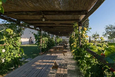 Agriturismo tra cultura e natura tra Pisa e F...