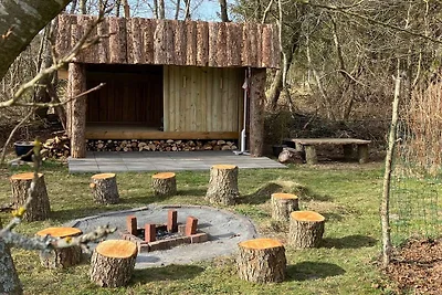 4 Sterne Ferienhaus in Blåvand