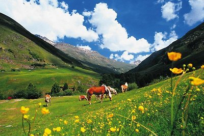 Gezellig vakantiehuis in Längenfeld