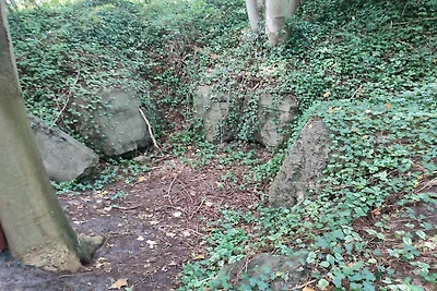 Moderne Cottage-Oase in Arrild