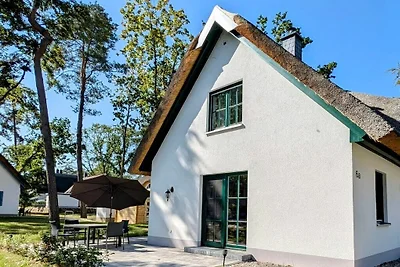 Sandregenpfeifer