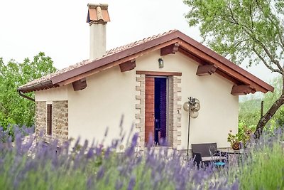 Appartamento ad Assisi con piscina e giardino