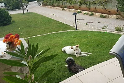 Appartamento per le vacanze a Punat con...