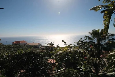 Hütte Golfurlaub Arco da Calheta