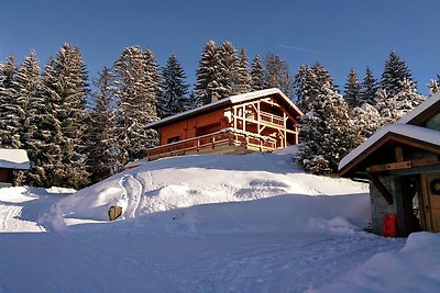 Sonniges Chalet in Les Gets mit Whirlpool