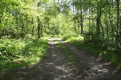 Bungalow in Nordheide with 1 bedroom