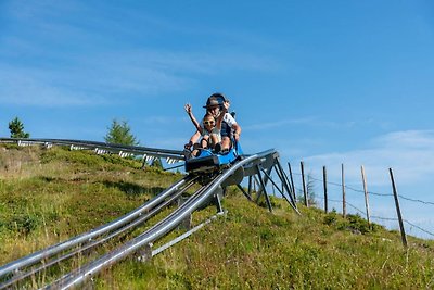 Wohnung nur 200 m von der Skistation entfernt