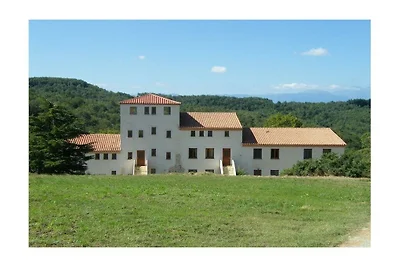 Syrah - Domaine La Flotte