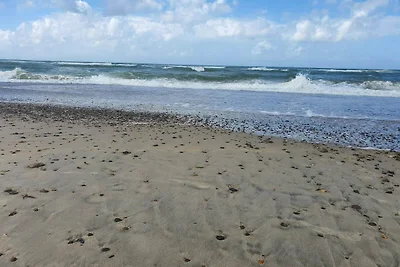 10 persoons vakantie huis in Fjerritslev-By...