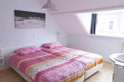 Ferienhaus in domburg mit Schwimmbecken