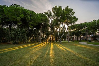 Ferienanlage Riva degli Etruschi in San Vince...