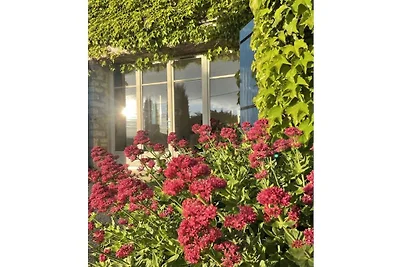 Cerisiers - Rosiers