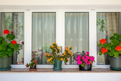 apartman za odmor Obiteljski odmor Povljana