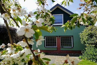 Casa vacanze a Daschow con piscina